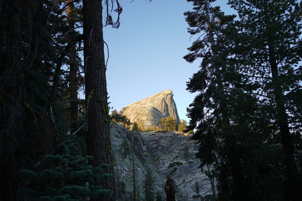 green trees near mountain during daytime